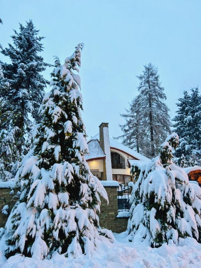 Zarabie Residence ميشلينيتسه المظهر الخارجي الصورة